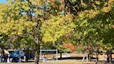 Sugar shower at Des Moines' Union Park delights community