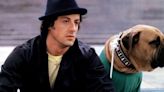 La historia de Butkus, el perro de “Rocky” que Sylvester Stallone tuvo que vender agobiado por la pobreza