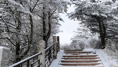 下雪了！北海道山區迎初冠雪 比去年早25天