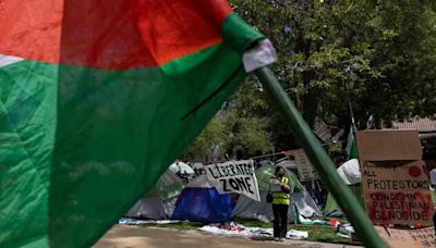 Pro-Palestine protesters storm US university president's office, arrested