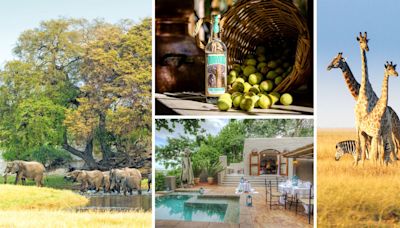 ELLE Escapes: Botswana