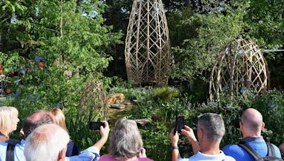What to expect at this year's Chelsea Flower Show