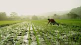 Farm credit target for FY25 may be set at Rs 24 trillion