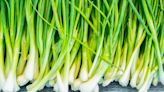 The Major Storage Mistake To Avoid With Fresh Green Onions