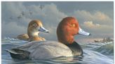 Federal duck stamp impact goes far beyond the scope of hunting