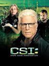 CSI - Scena del crimine