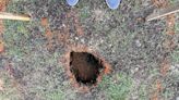 C&O Canal park monitoring 2-foot sinkhole near dam 4 off towpath