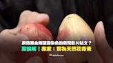 【錯誤】黑金剛蓮霧染色的新聞影片貼文？專家：實為天然花青素