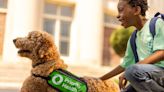 Dogs Placed in Elementary Schools Making a Big Difference in Academics and Mental Health for Michigan Students