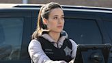 Chicago P.D.'s Marina Squerciati Posed With Chicago Med Alums To Support The Strike, But The Kittens May Be The Real...