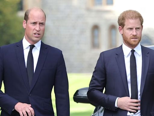 Prince William Plans For Prince Harry After He Takes The Throne REVEALED!