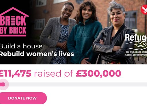 Joely Richardson and Gurinder Chadha back Brick by Brick campaign as donations pour in from readers