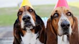 Send These Sweet and Funny Birthday Wishes to Your Best Friend