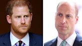 Harry will 'lash out' when William is monarch with major move