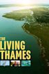 The Living Thames