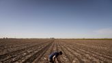 As EV popularity grows, Illinois corn farmers turn to aviation as a possible market for ethanol