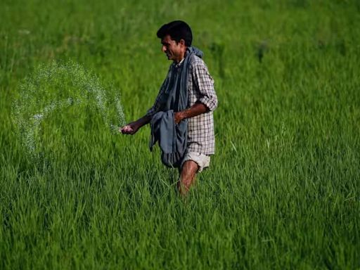 Fertiliser stocks see strong profit booking after Union budget raises allocation for rural development