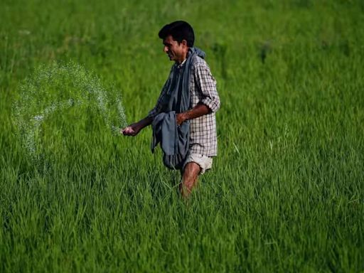 Fertiliser stocks surge up to 13% a day before Budget on hope of rural focus