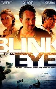 In the Blink of an Eye (2009 film)