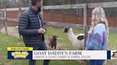 Learn about llamas, alpacas, and more at Goat Daddy’s