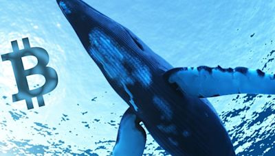 Una ballena vendió más de 5 millones de dólares en Tellor: ¿es buen momento para invertir en esta criptomoneda?