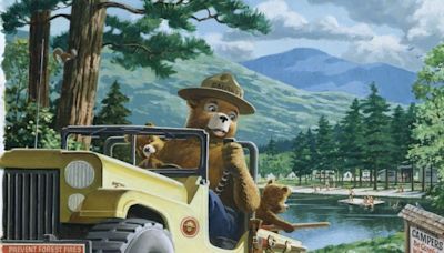 Historic Smokey Bear portraits to be displayed at Pioneer Park in Rhinelander