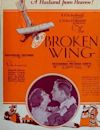 The Broken Wing (1923 film)