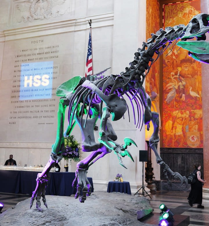 The 15 Best Museums for Kids in NYC (Because They Need Some Screen-Free, Educational Fun)