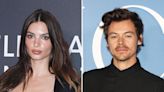 Emily Ratajkowski Hints Harry Styles Romance Began Months Before Kiss