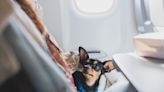 How to protect your pet during an in-flight emergency