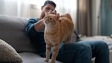Should you care about what the cat (or dog) dragged in? A doctor’s advice