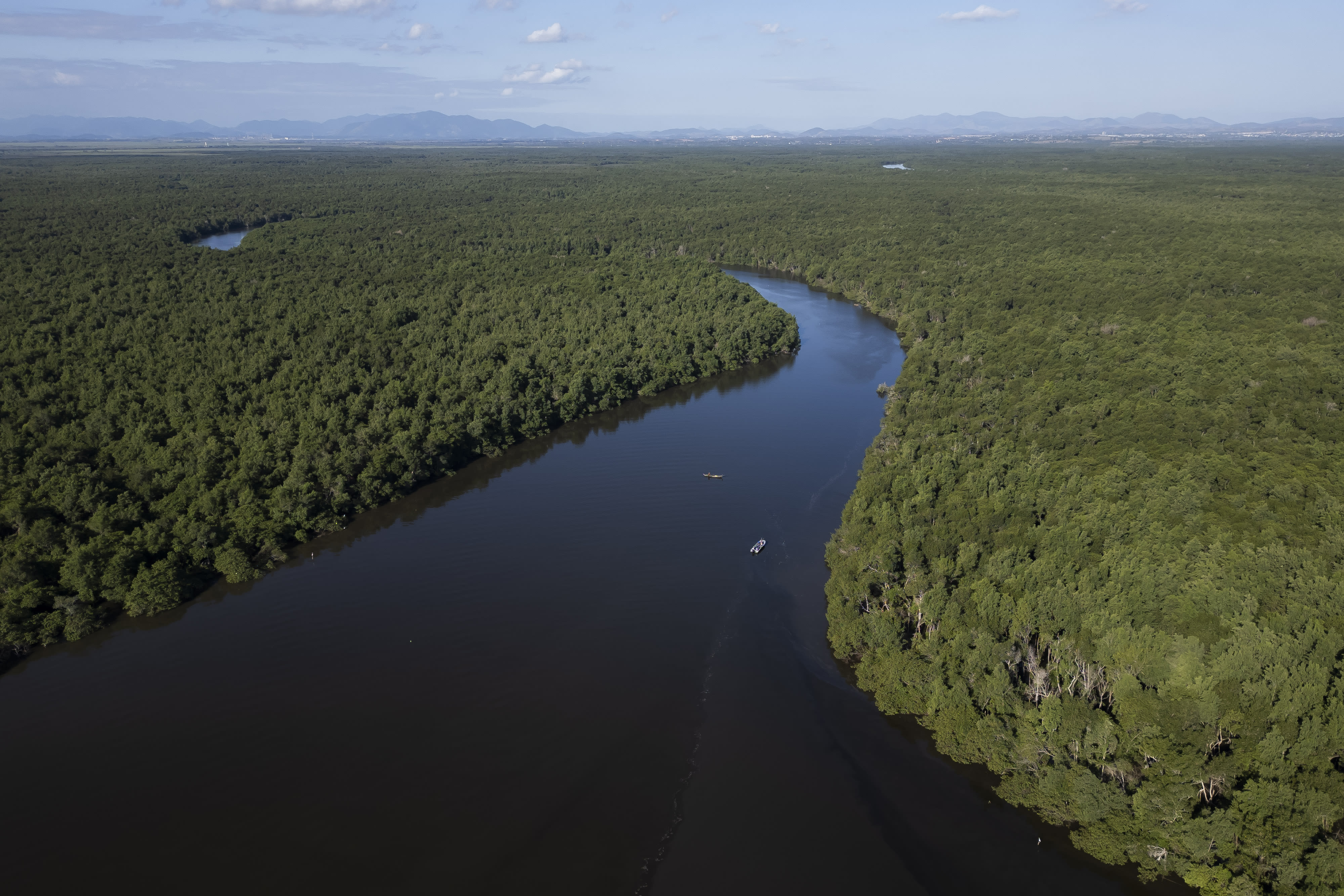Rio de Janeiro bay reforestation shows mangroves' power to mitigate climate disasters