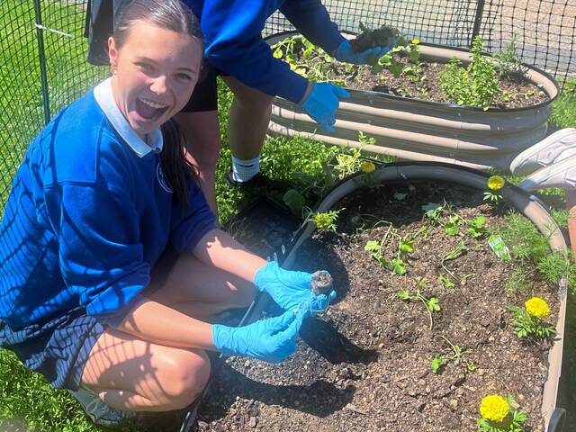 Blessed Trinity Academy garden benefits Hampton-based food pantry