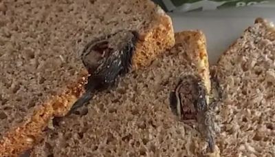 Woman horrified to find dead RAT in loaf but only after she'd eaten some of it