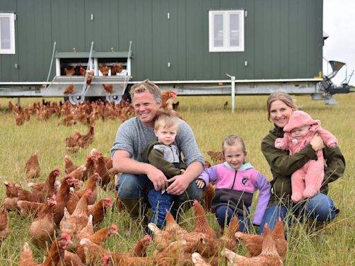 Evolving family farm welcomes free-range hens with hi-tech mobile homes