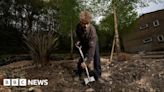 Scraith Wood community garden created by Sheffield student