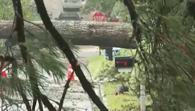 ‘It’s a disaster’: Valdosta residents navigate downed trees, powerlines and standing water on roads