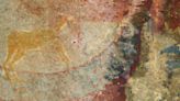 Mystery creature in South African rock art could be long-extinct species, study finds