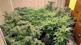 Six men charged after cannabis farm found in Leeds