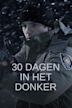 30 Days of Night (film)