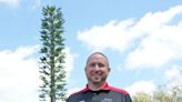 How a Pewaukee auto shop owner got a cell tower that looks like an evergreen tree