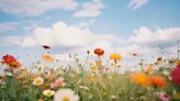 No es el 21 de septiembre: qué día y a qué hora va a arrancar la primavera este mes