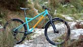 Nordest Bardino v3.5 Brings UDH to Affordable Steel Enduro Hardtail