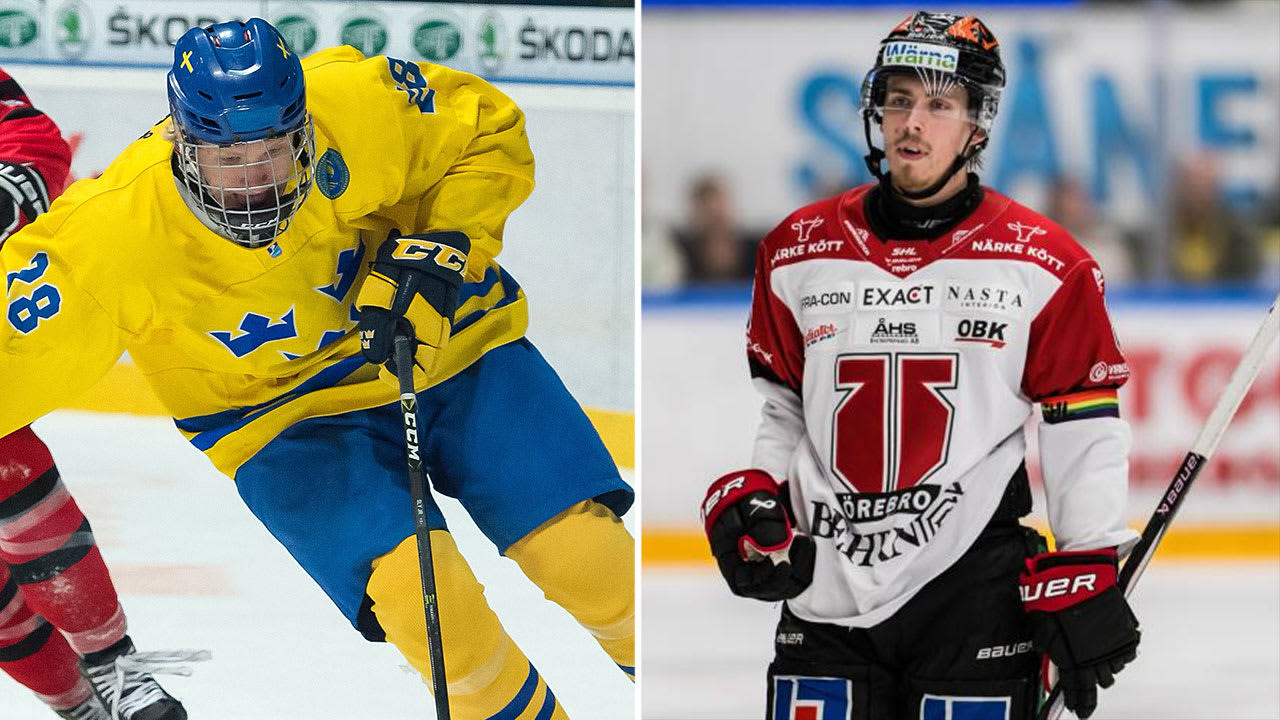 Blues sign Sylvegard, Johannesson from SHL | St. Louis Blues