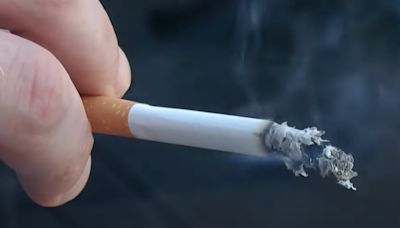 【洪存正專欄】史上最嚴厲的禁煙令即將到來 | 蕃新聞