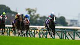 Want to see the Japanese at Royal Ascot? Perhaps British runners in the Japan Cup would help