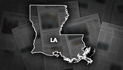 Louisiana Democratic Party selects new chairman