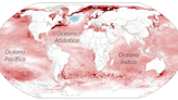Los preocupantes efectos que tiene el nivel récord de calentamiento de los océanos que los científicos no saben explicar