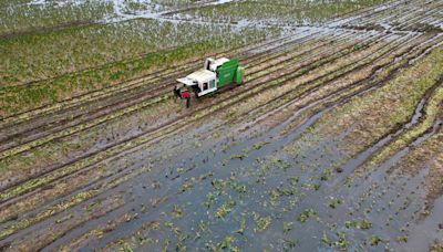 Climate change leading to food price volatility, campaigners warn