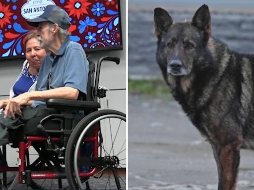 Este hombre sobrevivió a un ataque de perros y lucha para pedir más multas a dueños de animales agresivos